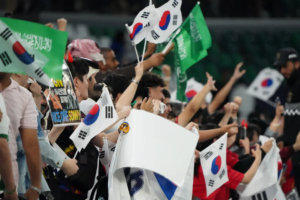 Fan of South Korea team